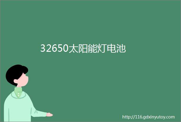 32650太阳能灯电池