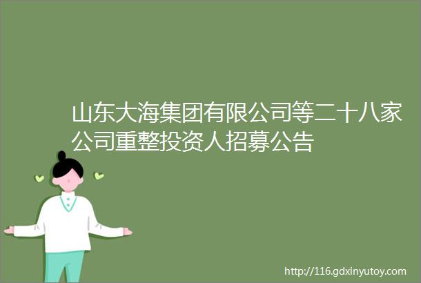 山东大海集团有限公司等二十八家公司重整投资人招募公告