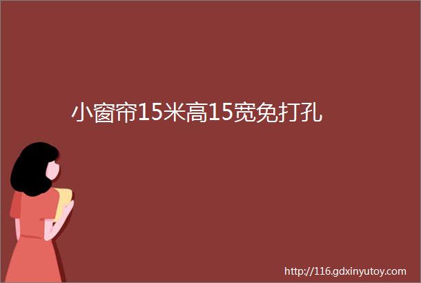 小窗帘15米高15宽免打孔