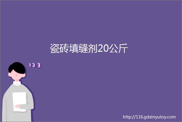 瓷砖填缝剂20公斤